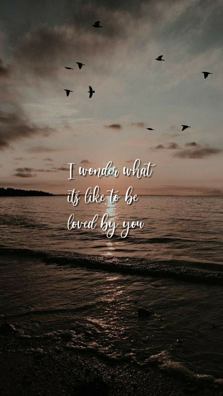 736x1308 SHAWN MENDES WONDER LYRICS WALLPAPERS