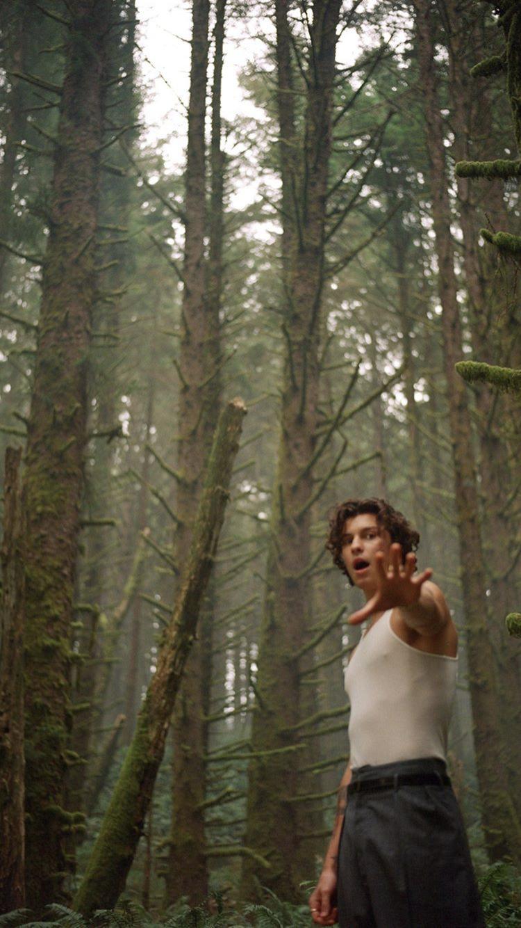 750x1334 Shawn Mendes: Wonder (2020)