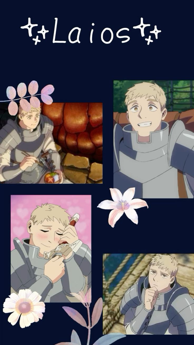736x1308 Delicious in Dungeon Wallpaper
