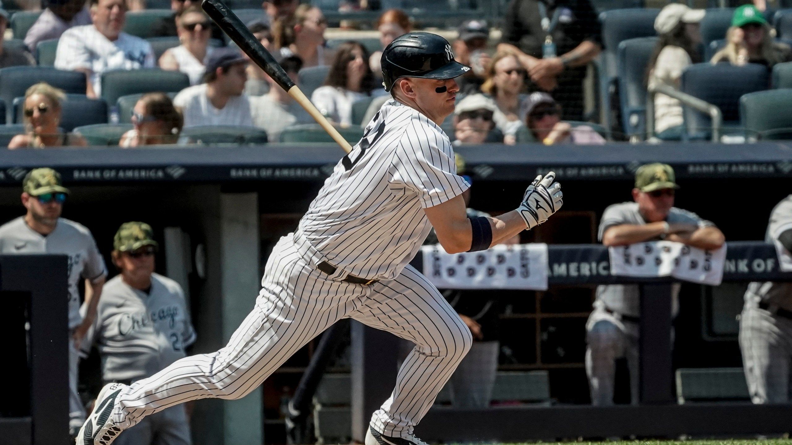 2560x1440 Donaldson disappointed Yankees didn't publicly support him