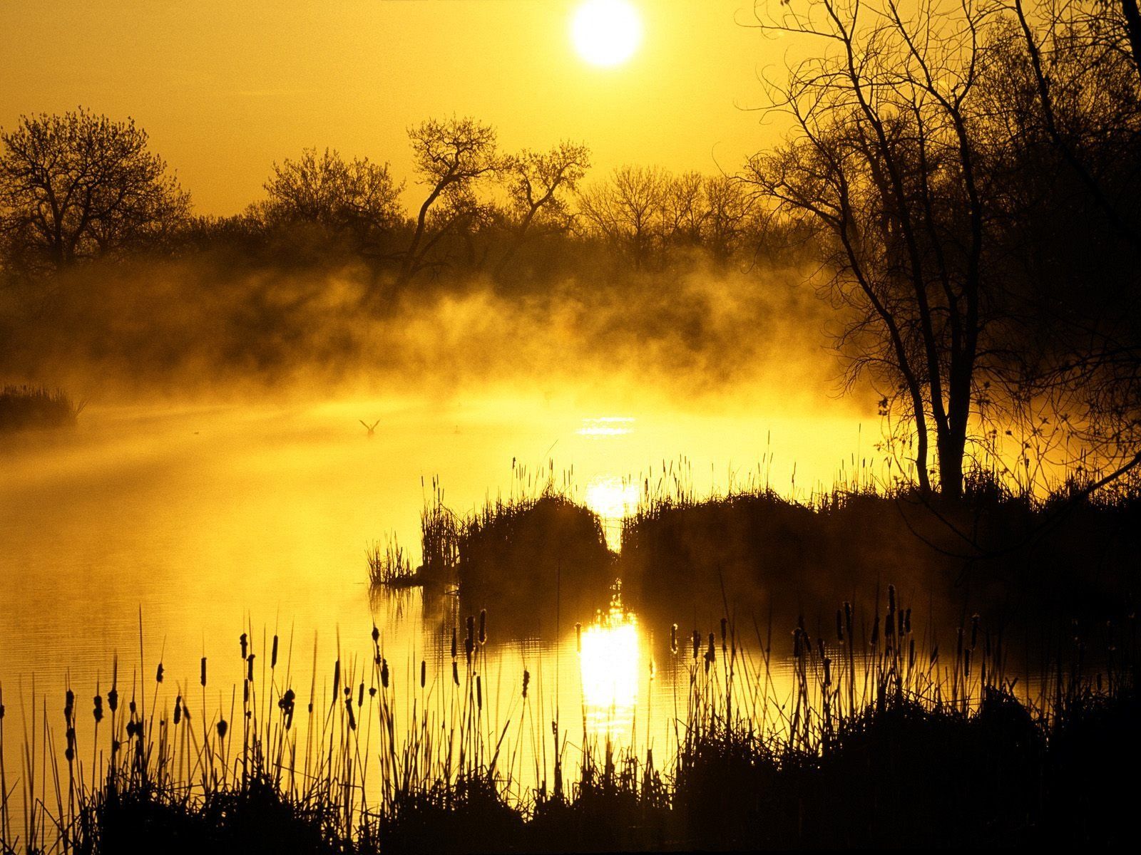 1600x1200 Golden Nature Glow: Stunning HD Sunset Wallpaperx1200