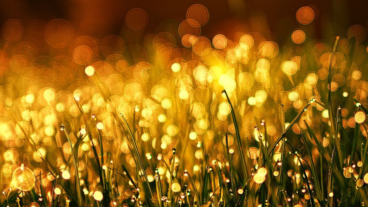 1280x720 Seven Ways to Spark Your Writing with Golden Lines. Writers In The Storm