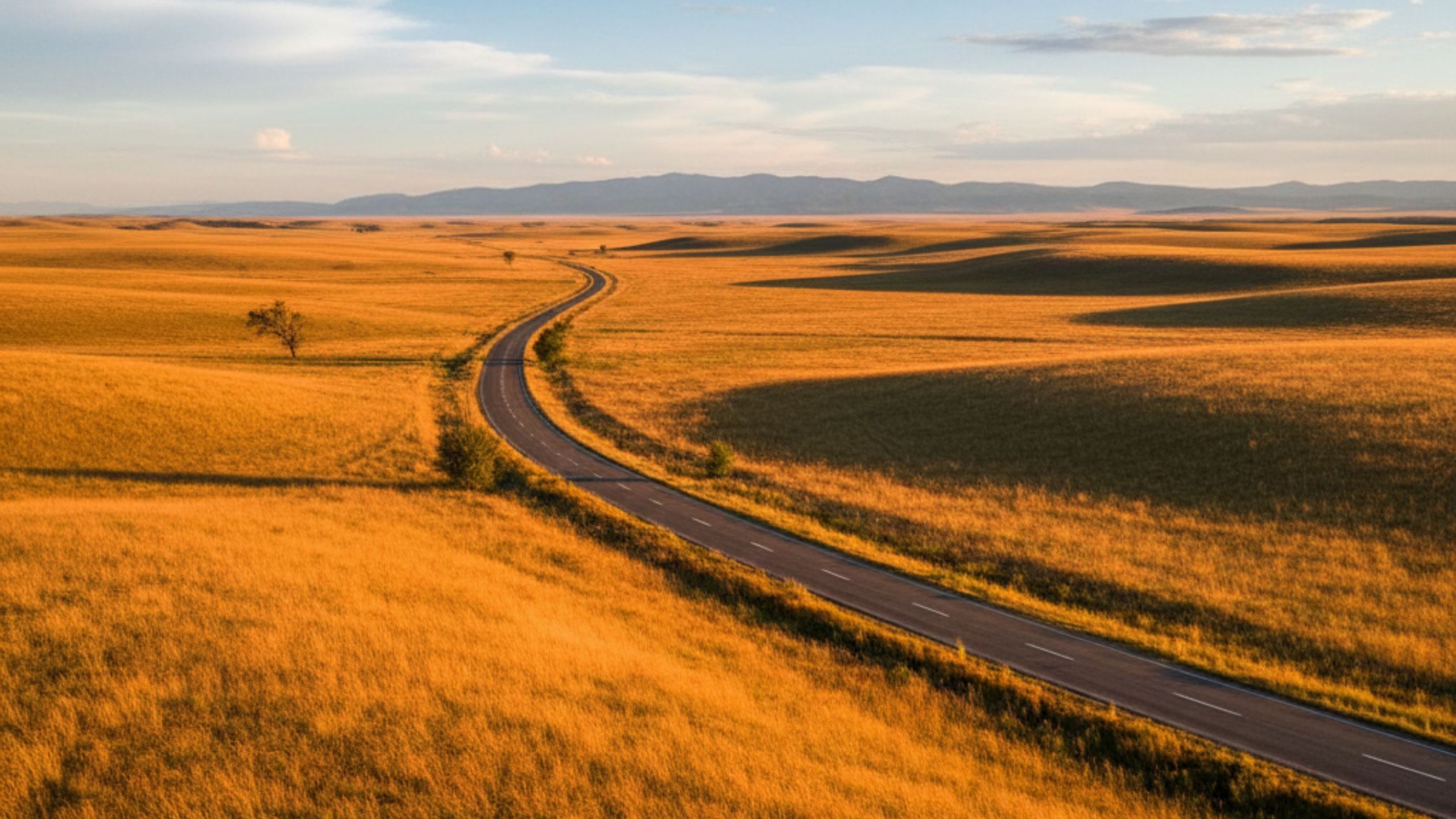 2560x1440 Winding road through golden grassland under blue sky representing open countryside landscape HD nature Wallpaper