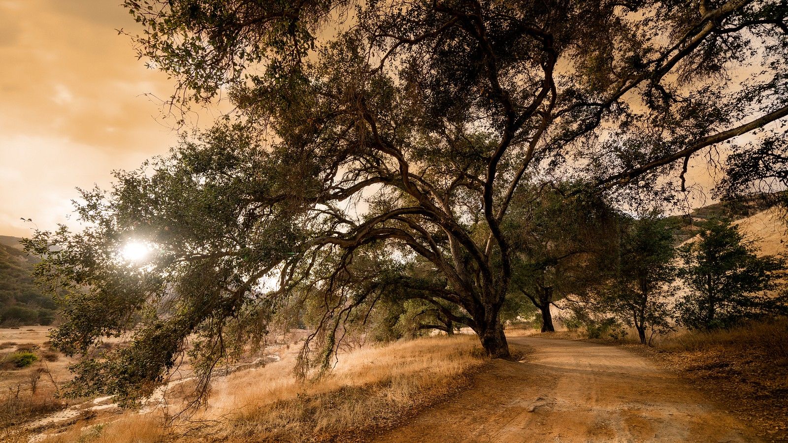 1600x900 Winding Dirt Path Through Malibu's Golden Landscape Ramelli Photography
