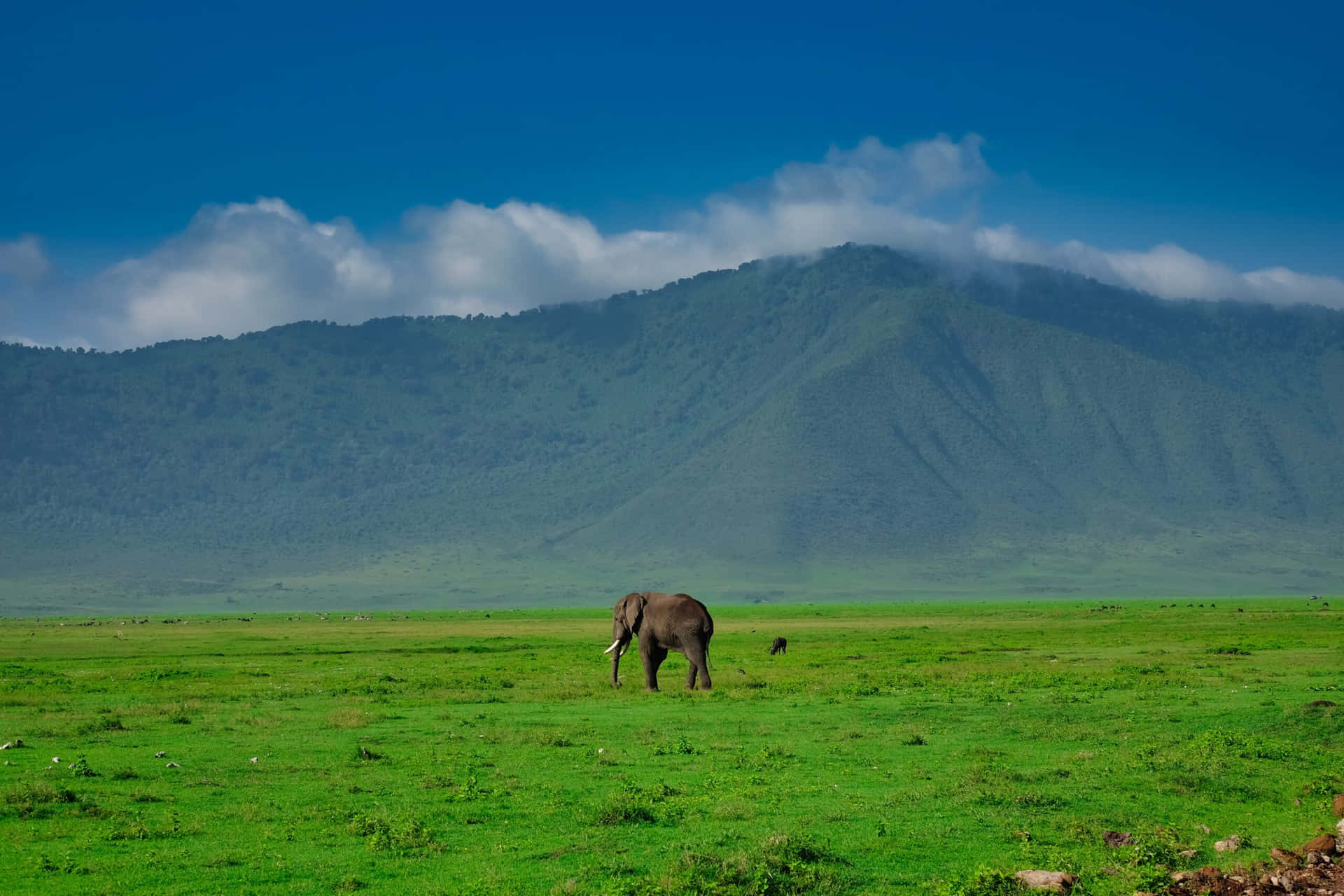 1920x1280 Ngorongoro Crater Wallpaper