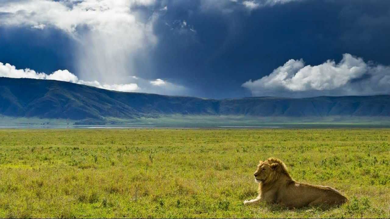 1280x720 Ngorongoro Conservation Area Expert Adventure