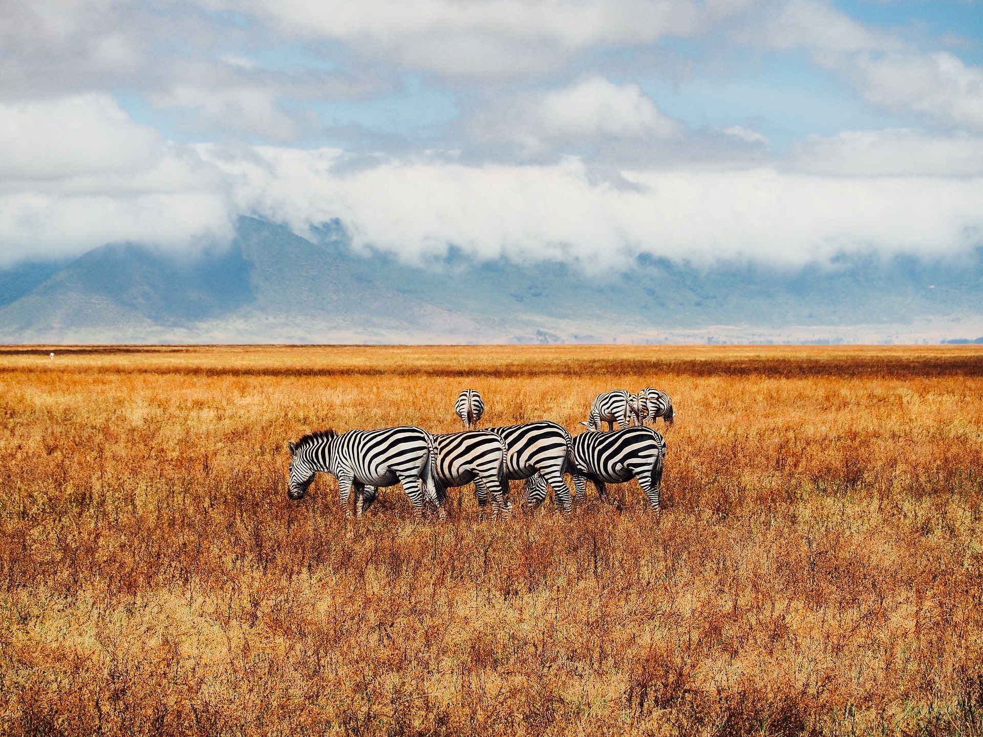 1920x1440 Ngorongoro Crater Tanzania