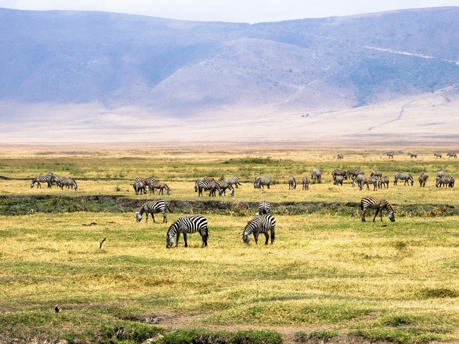 1600x1200 Ngorongoro Conservation Area