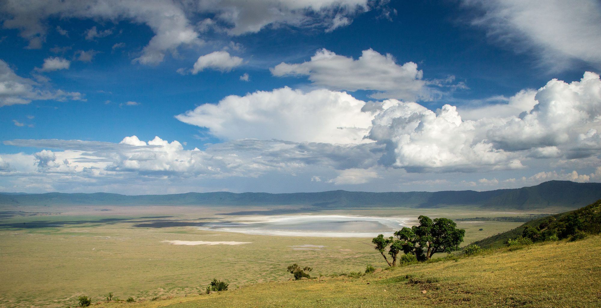 2000x1024 Bespoke Safaris in The Ngorongoro Crater, Tanzania