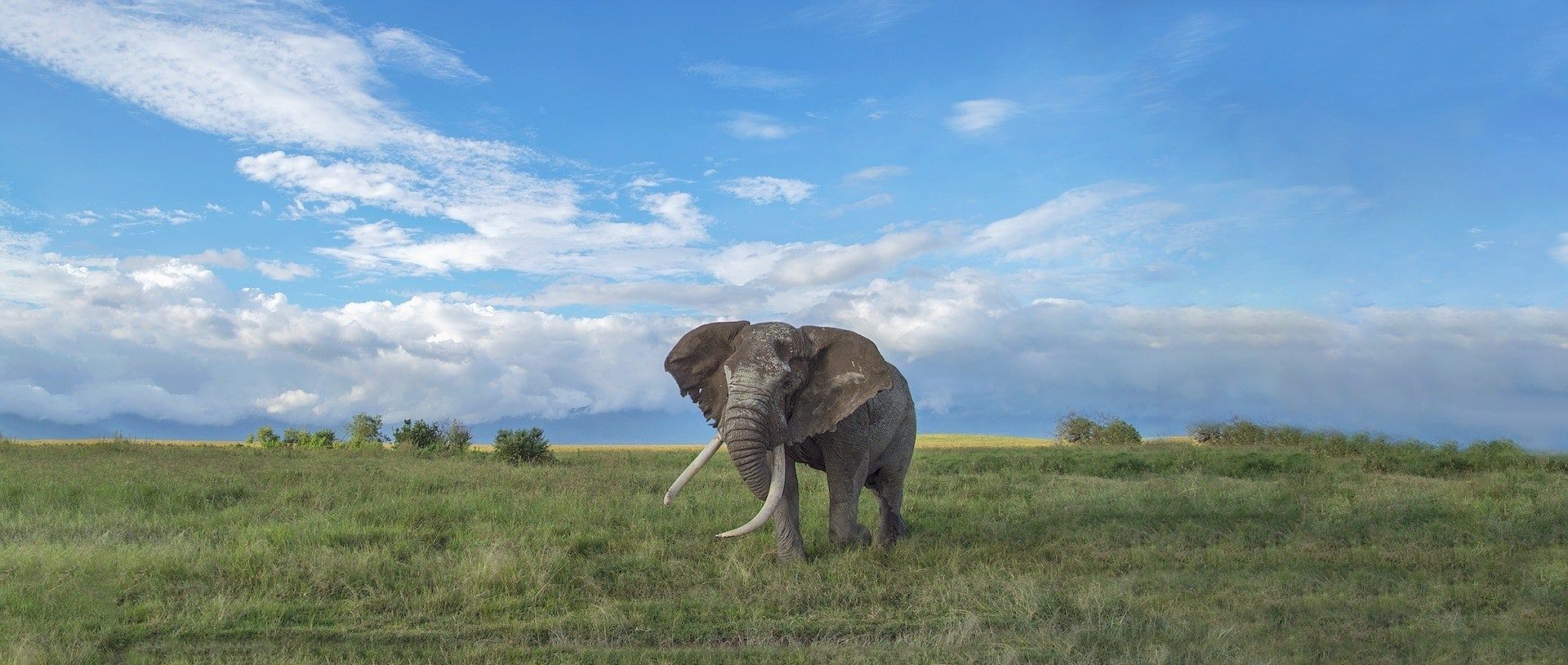 1920x814 Serengeti Photo Safari. Ngorongoro Crater Photo Safari