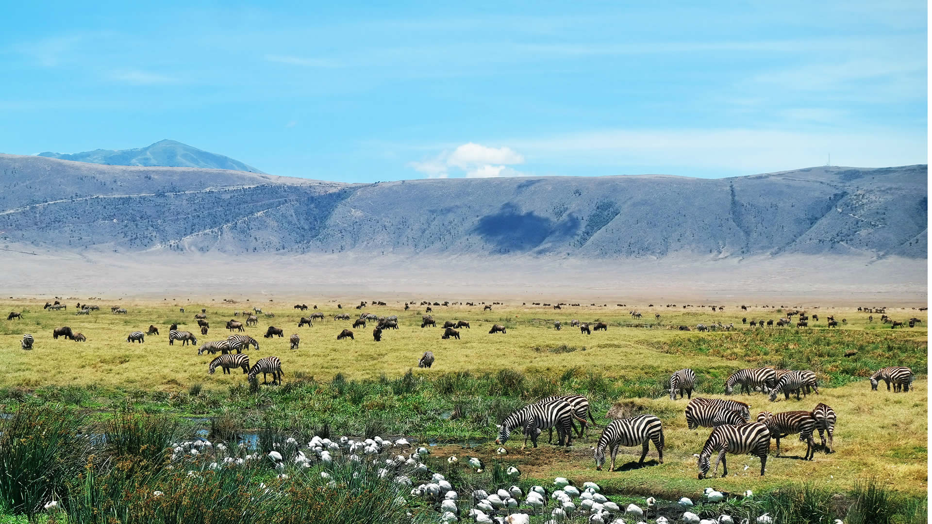 1920x1080 Ngorongoro Conservation Area