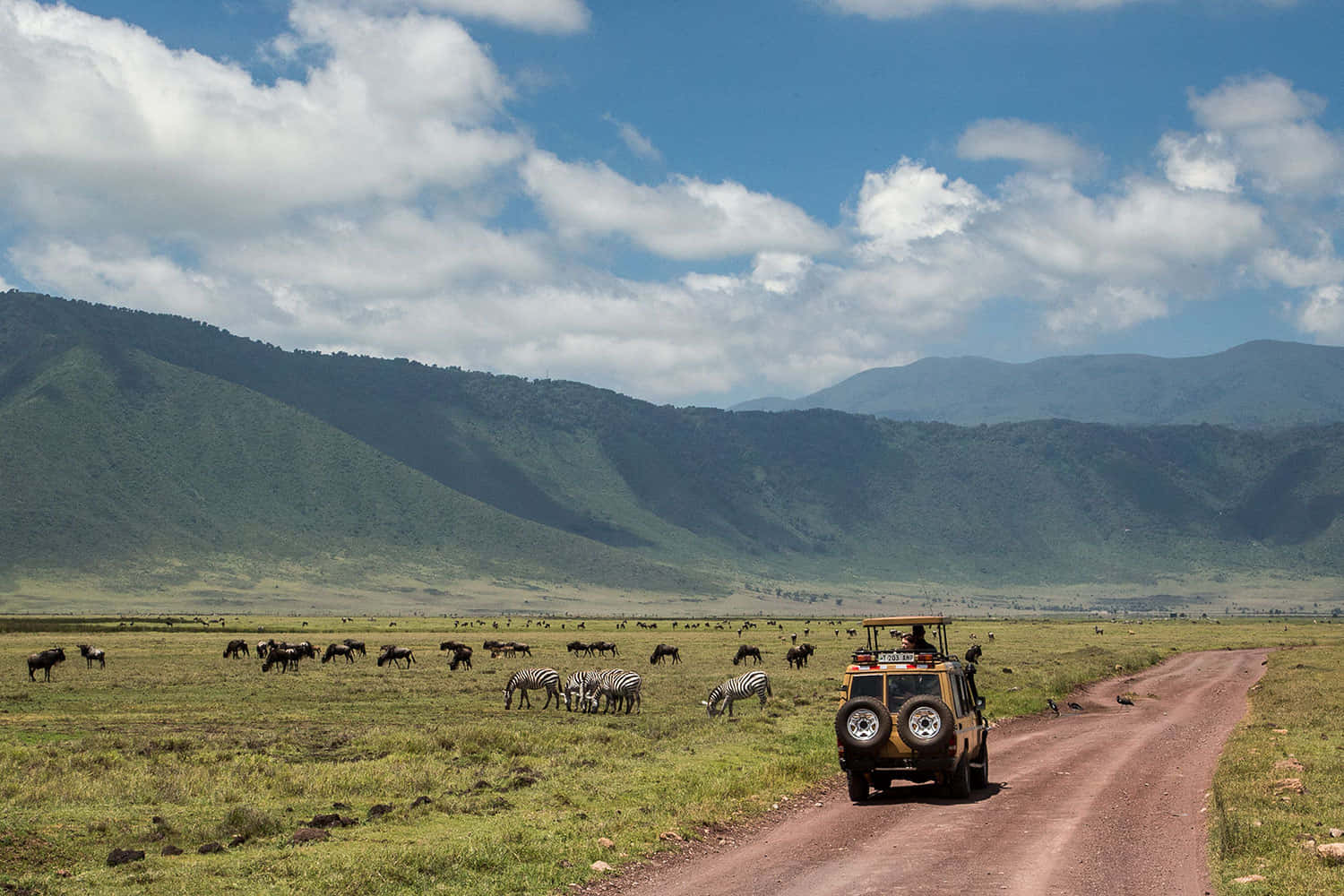 1500x1000 Download Unesco World Heritage Site Ngorongoro Crater African Wildlife Wallpaper