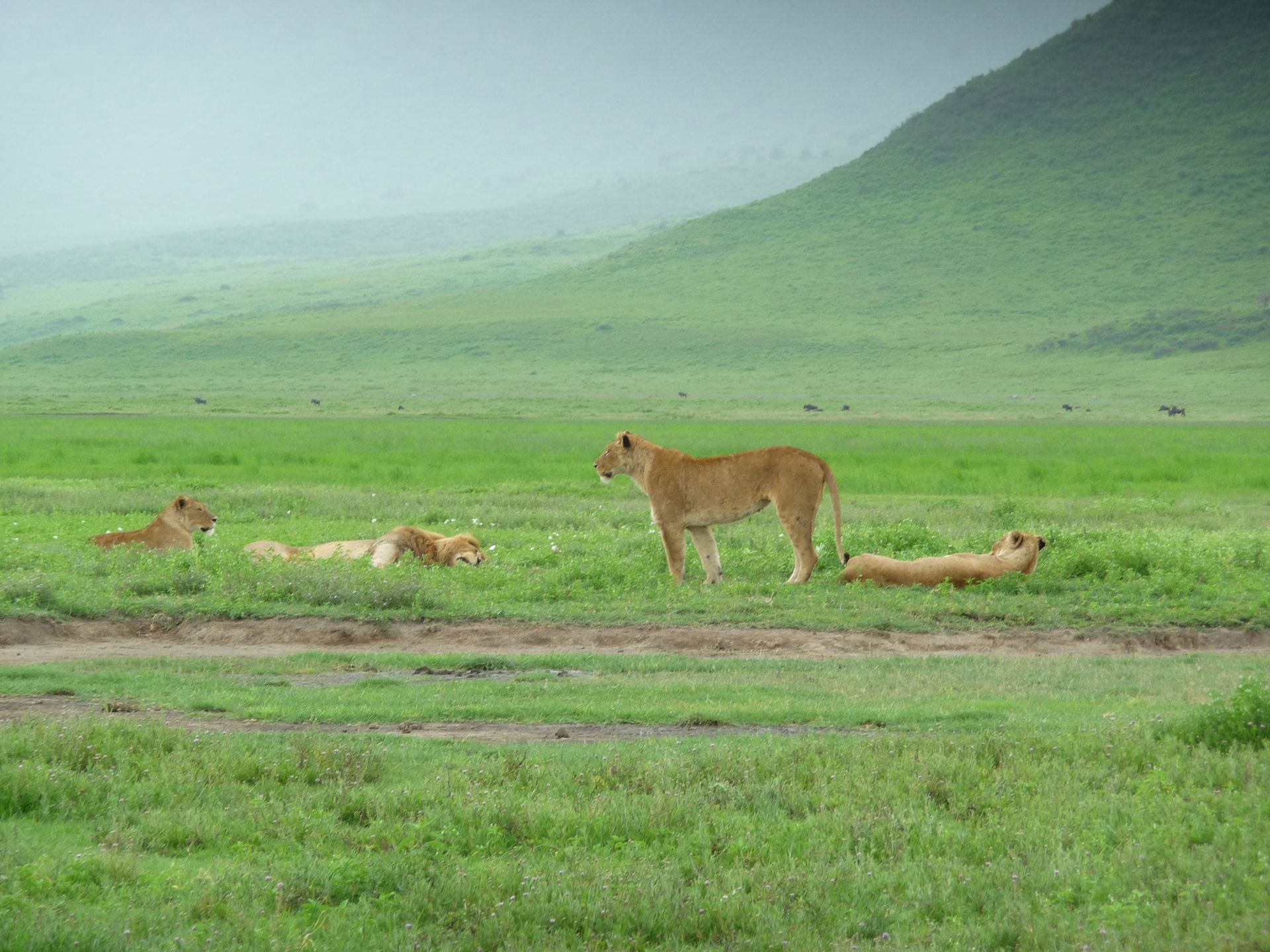 1920x1440 Ngorongoro Crater