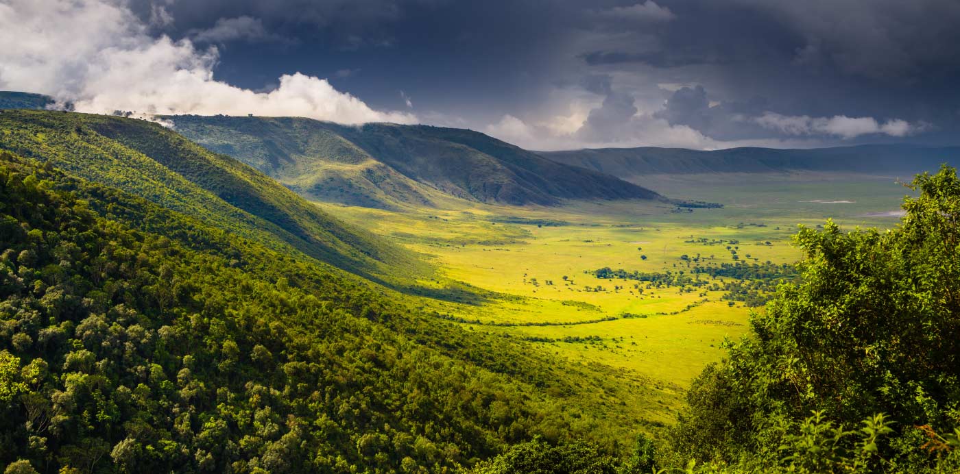 1400x692 Ngorongoro Crater. Largest Caldera in the World African Safaris