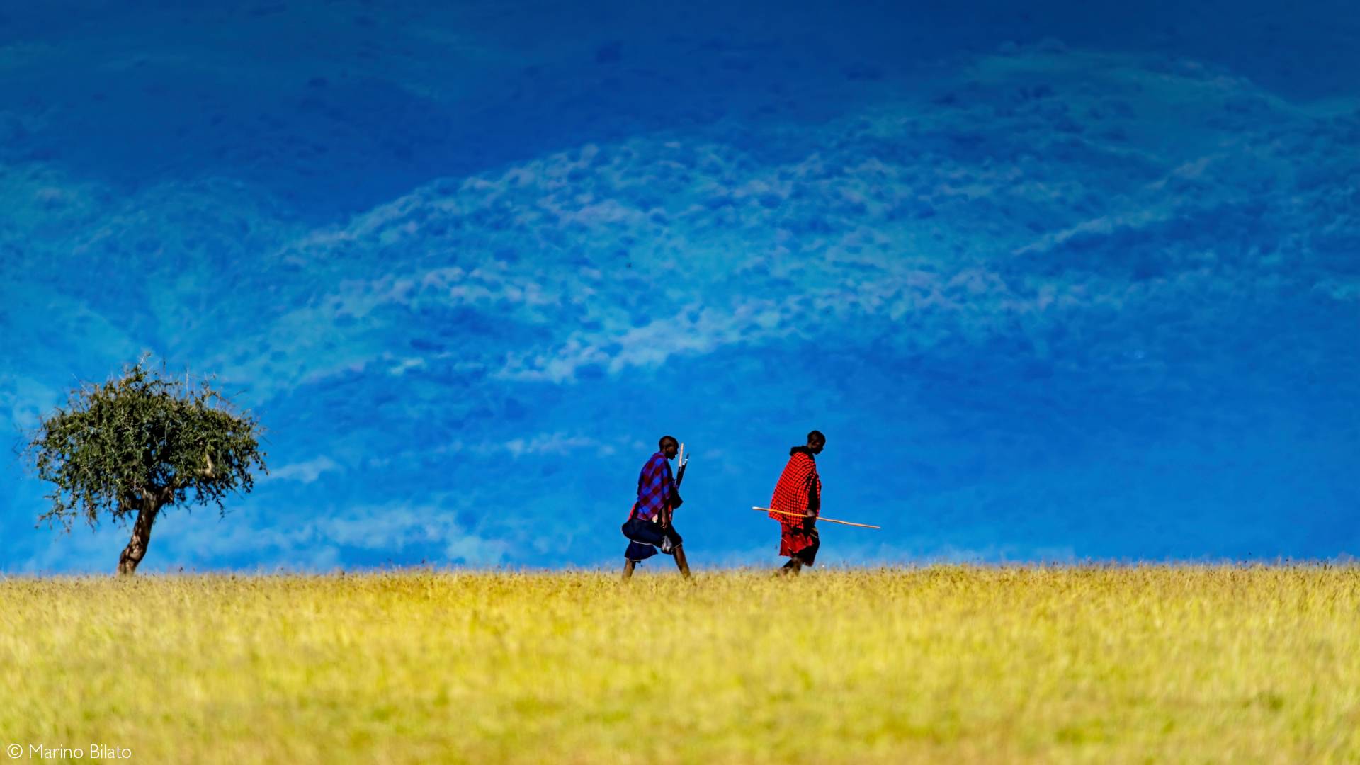 1920x1080 Come on a Ngorongoro safari with us