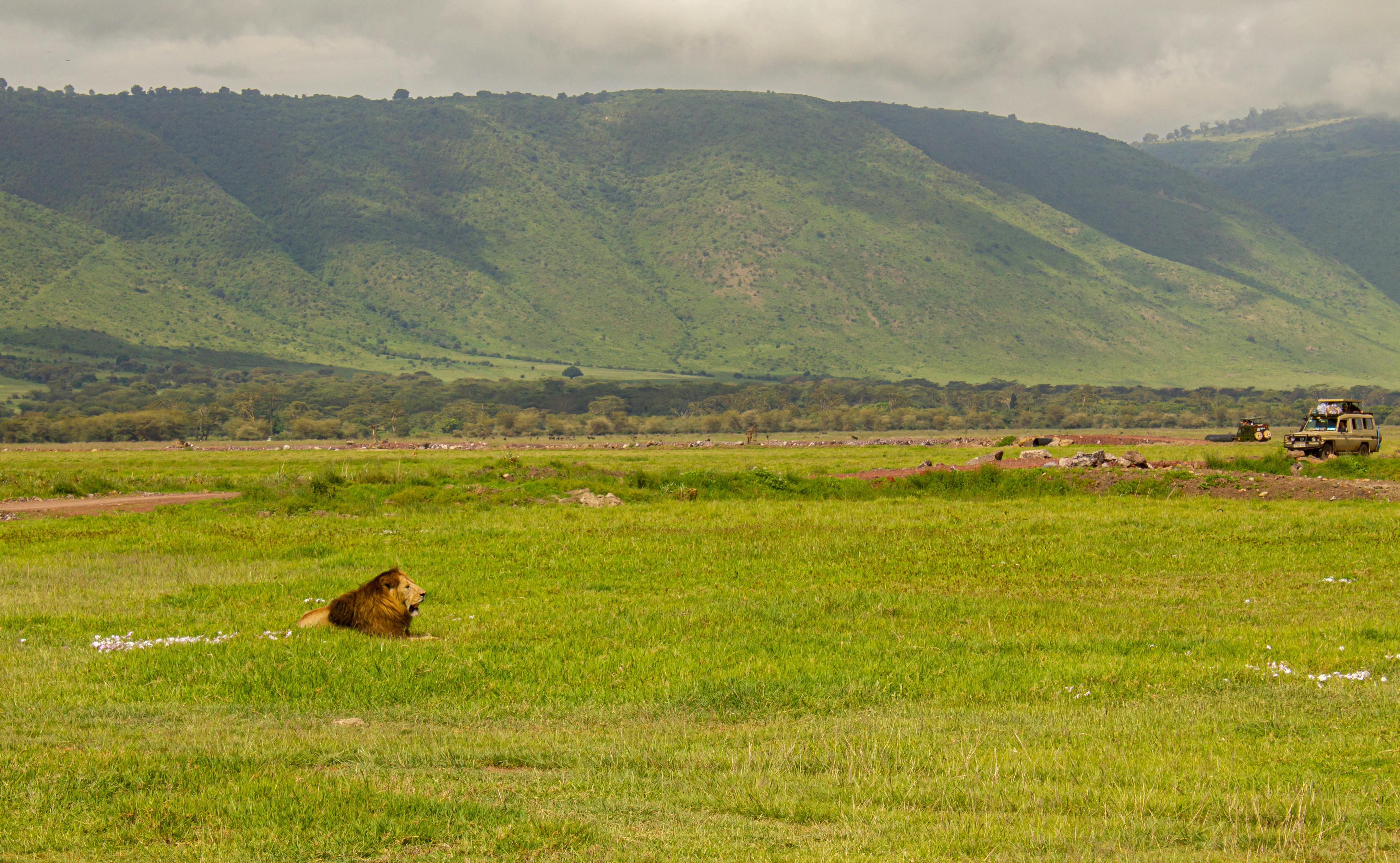 4317x2662 Ngorongoro Crater Photo, Download The BEST Free Ngorongoro Crater & HD Image