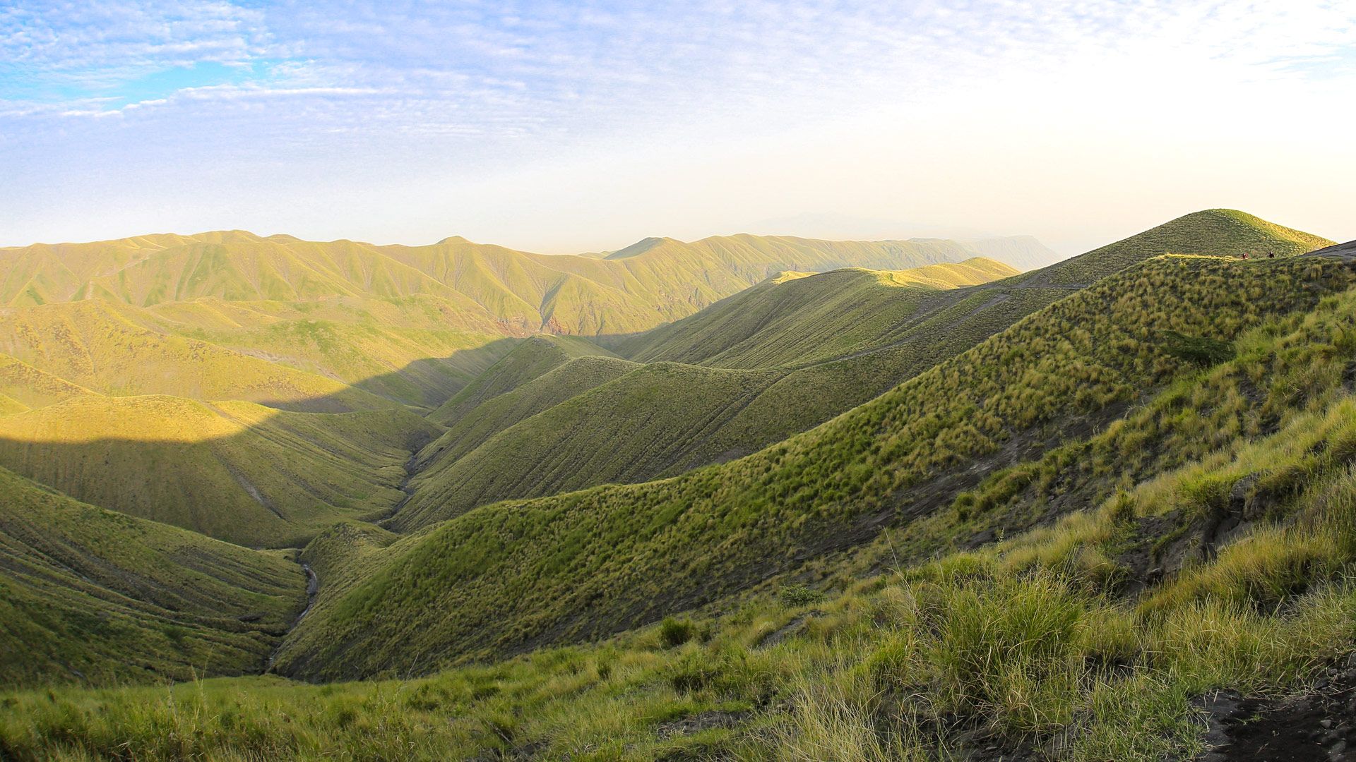 1920x1080 Safari in Ngorongoro