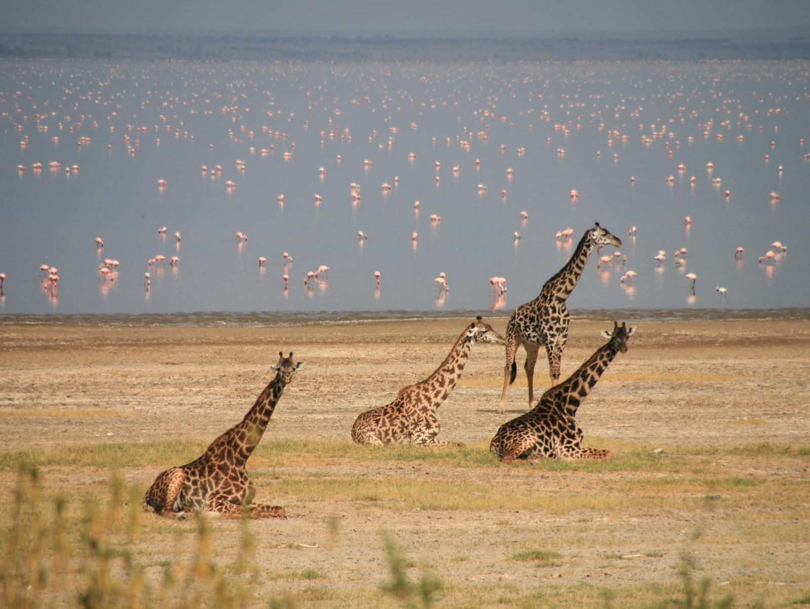 1598x1201 Ngorongoro Conservation Area