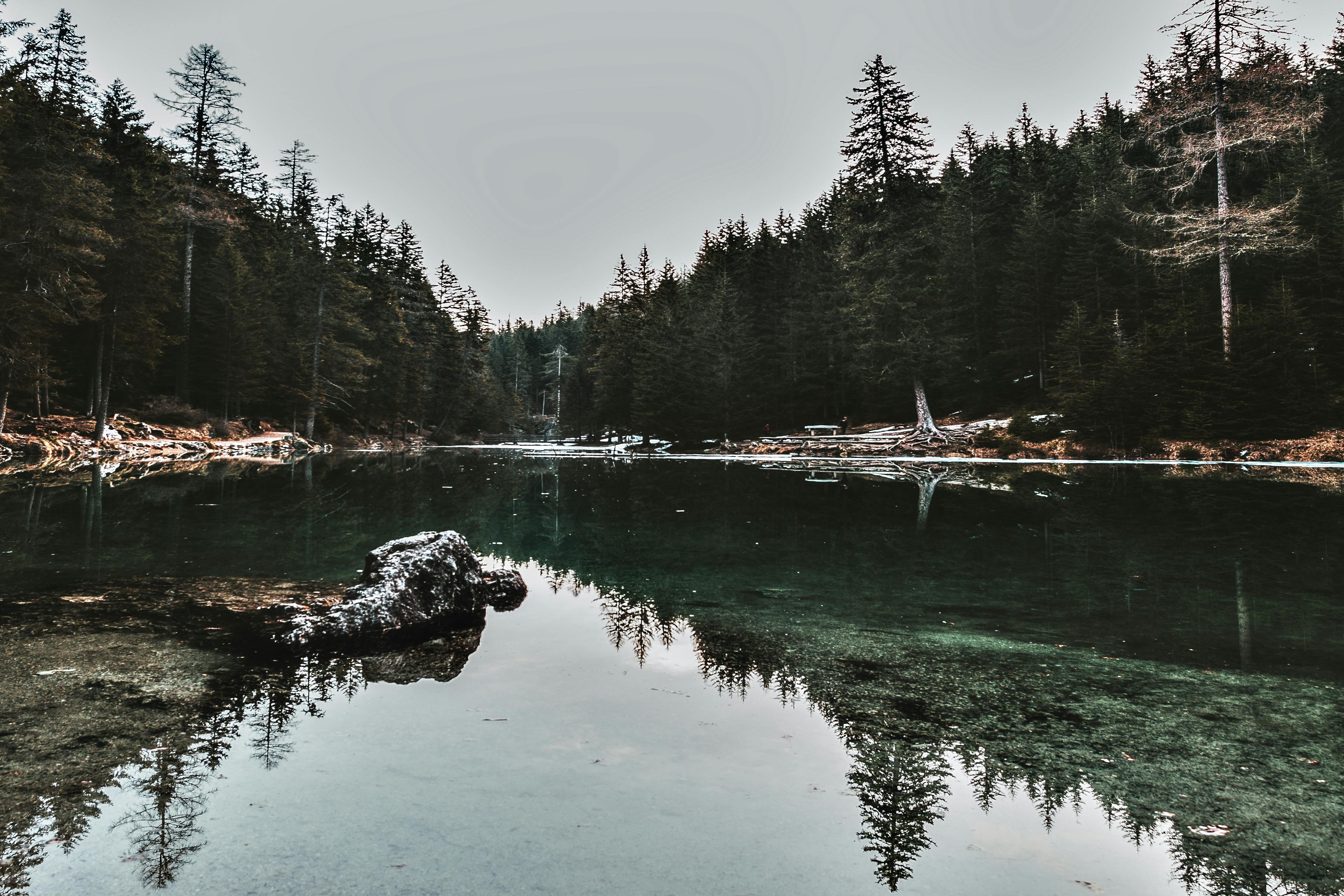 Forest and Lake Wallpapers - Top Free Forest and Lake Backgrounds ...