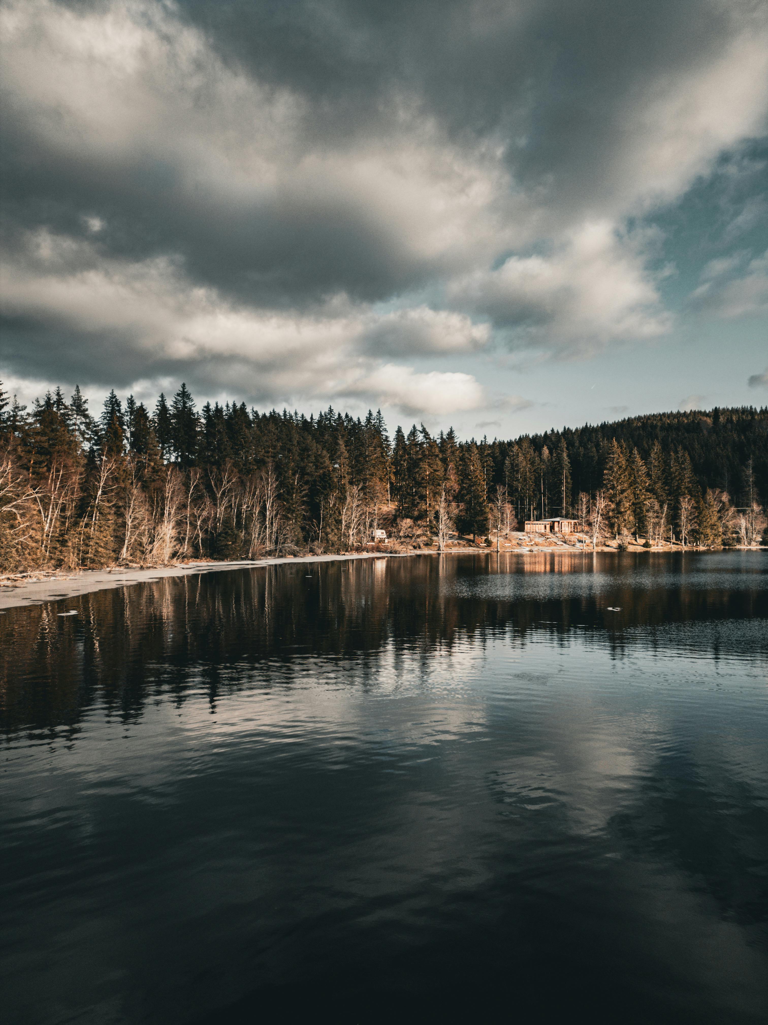 3024x4032 Lake in Forest · Free