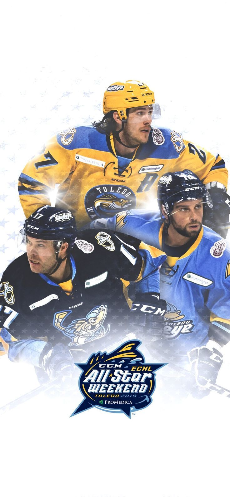 736x1593 Toledo Walleye. Toledo walleye, Walleye, Toledo
