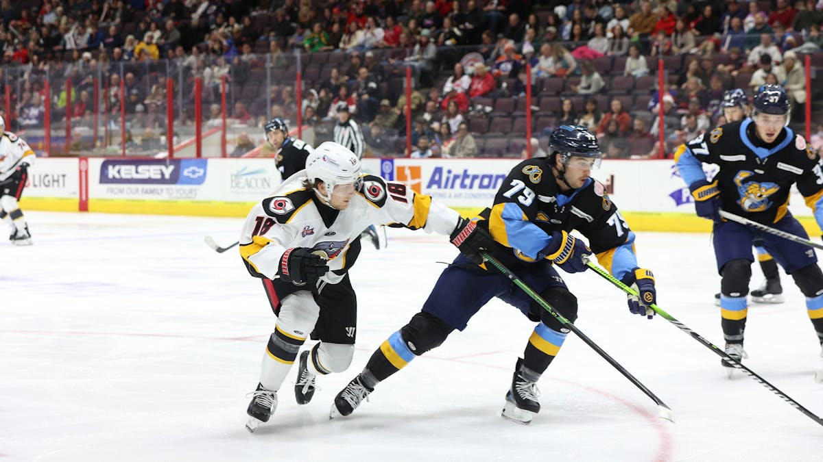 1200x675 Toledo Walleye. Toledo Walleye Weekly Release No. 11: January 2026