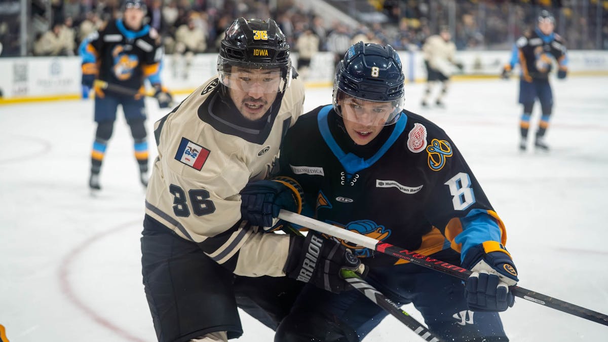 1200x675 Toledo Walleye. Toledo Walleye Weekly Release No. 13: January 2026