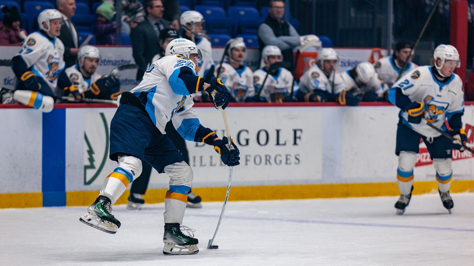 1920x1080 Toledo Walleye defenseman Riley McCourt 2026 Photo on OurSports Central