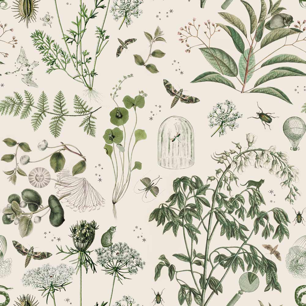 1000x1000 DEKORNIK BOTANICAL STORIES