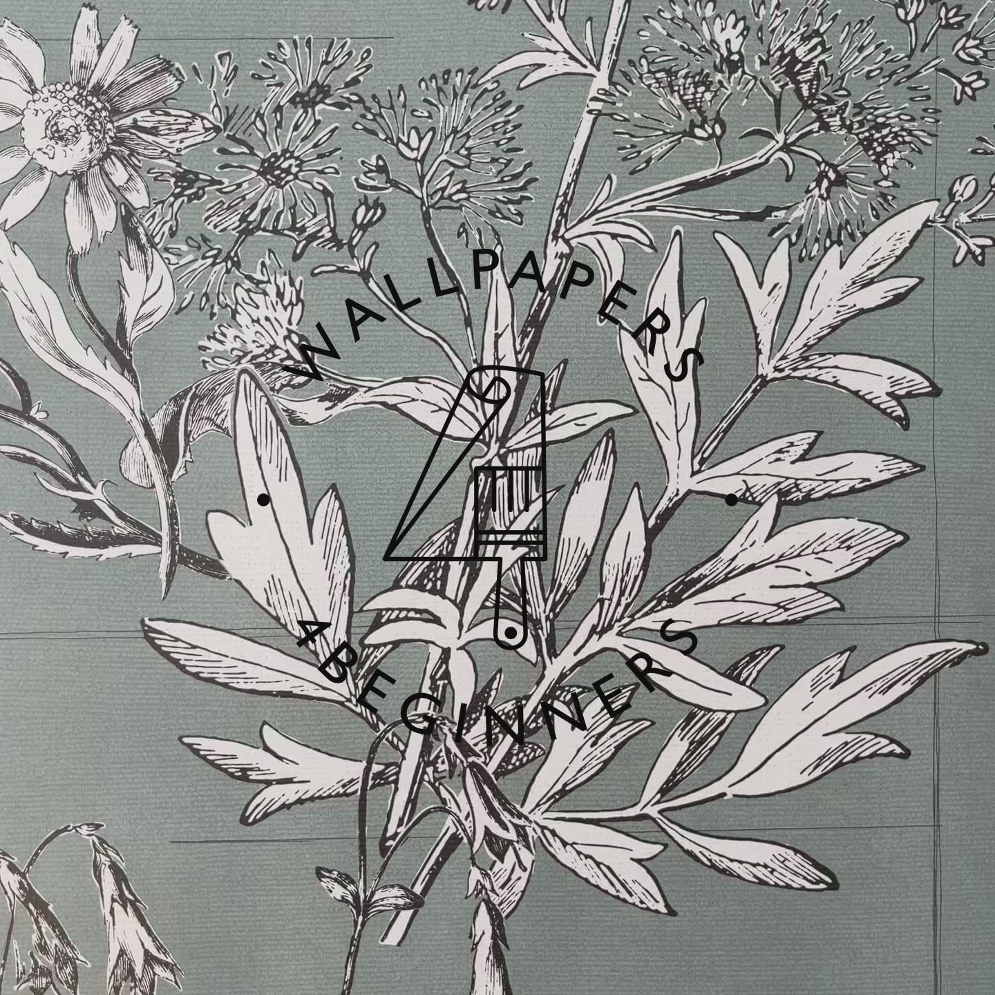 1440x1440 Botanical Illustrations Wallpaper