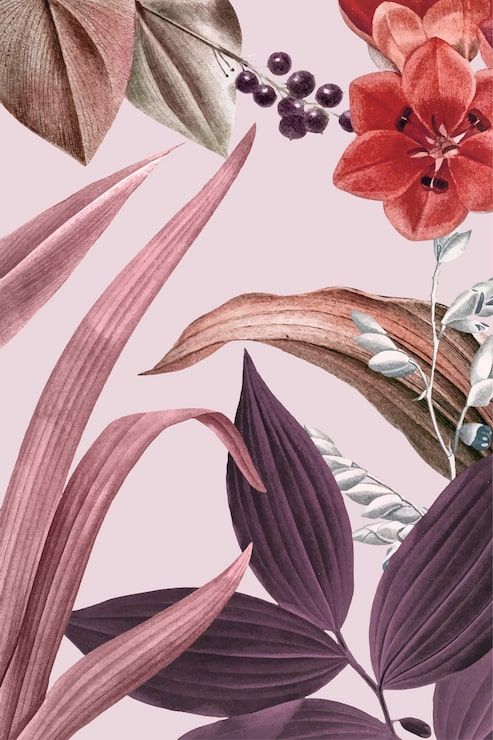 Botanical Illustration Wallpapers - Top Free Botanical Illustration
