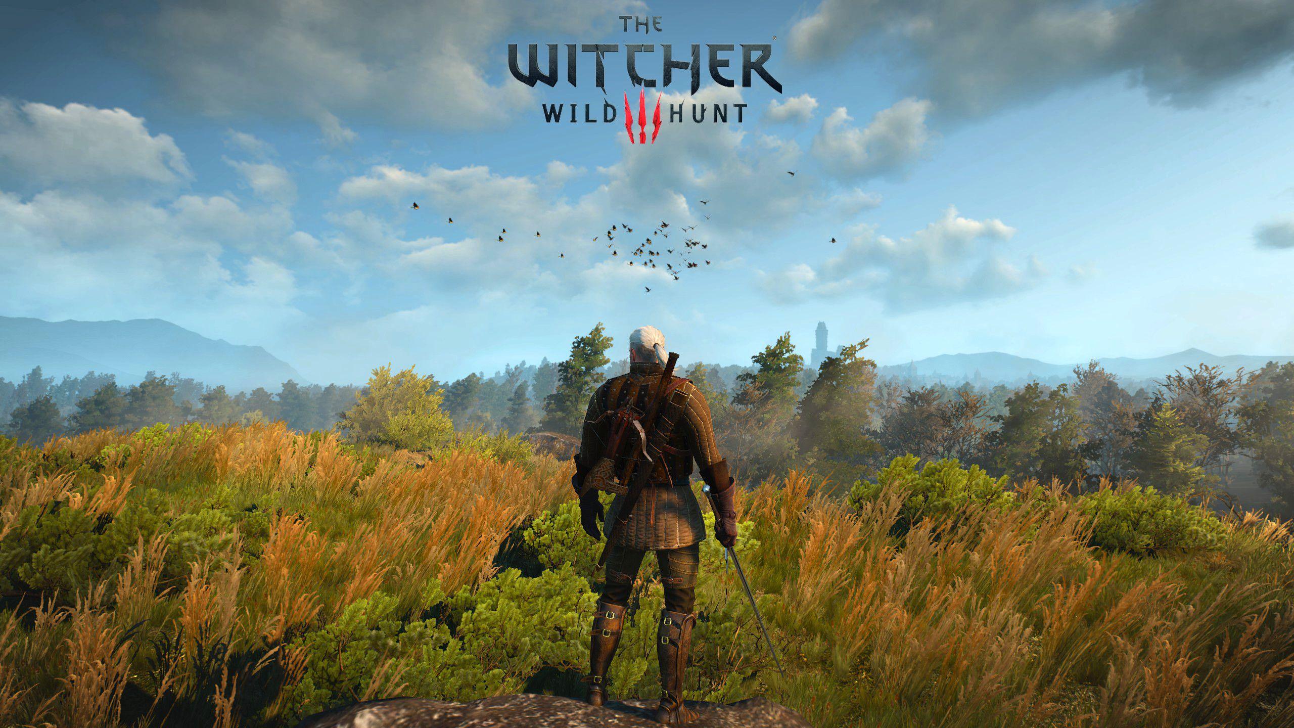 2560x1440 Witcher 3 1080p Wallpaper