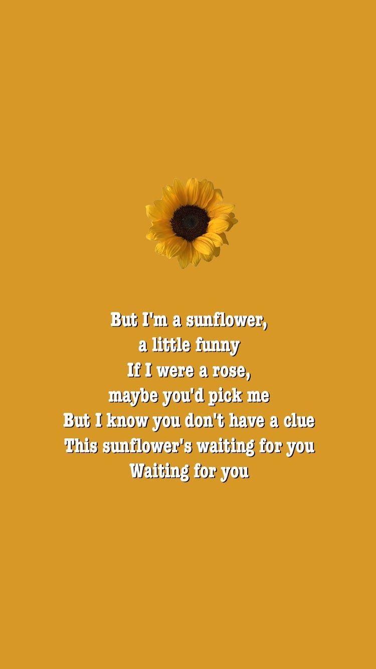 750x1334 Sierra Burgess is a Loser Movie Quotes Jamey Noah Centineo Sunflowers Poem Veronica Aesthetic Song Netflix Origi.  Bài thơ hoa hướng dương, trích dẫn hoa hướng dương, trích dẫn Netflix