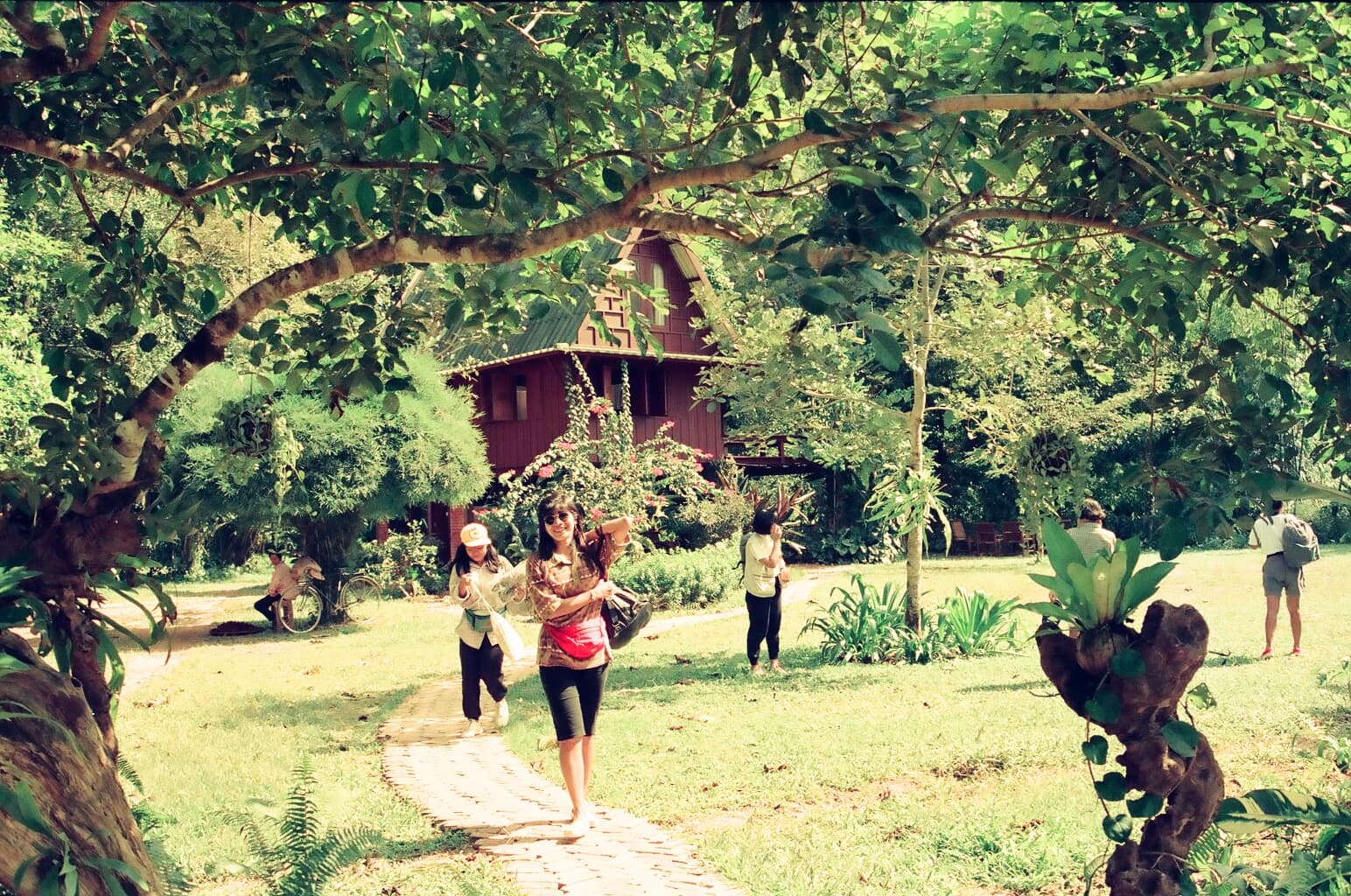 1544x1024 The first Khao Sok treehouse