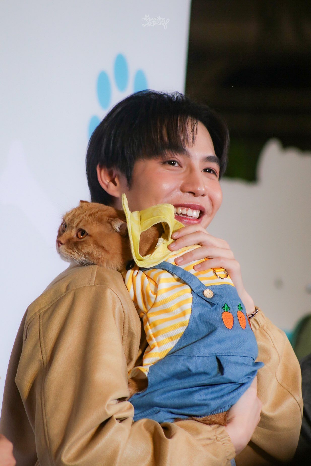 1234x1851 FirstKhao In Today's Nekko Cat food event
