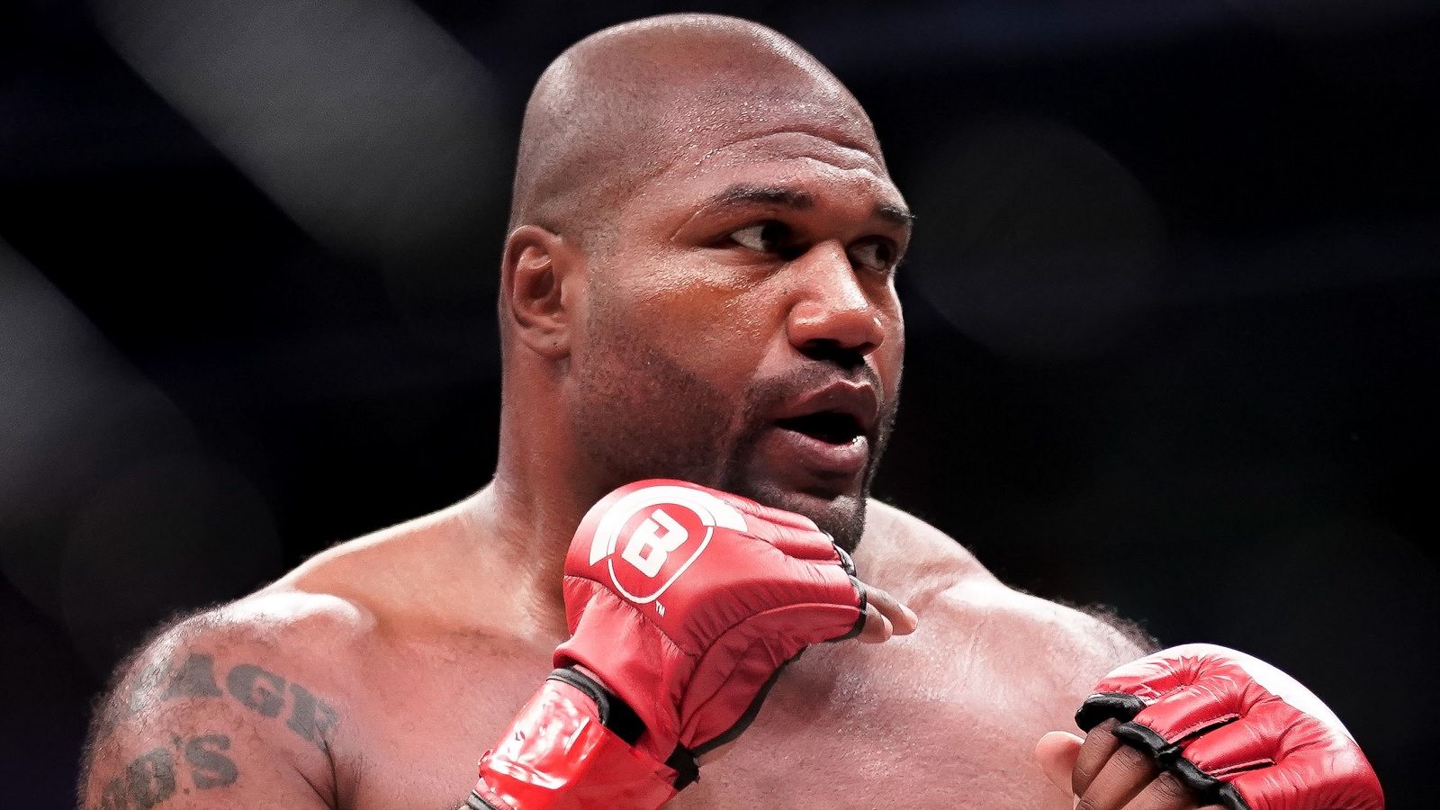 1600x900 Rampage Jackson Brown Sports