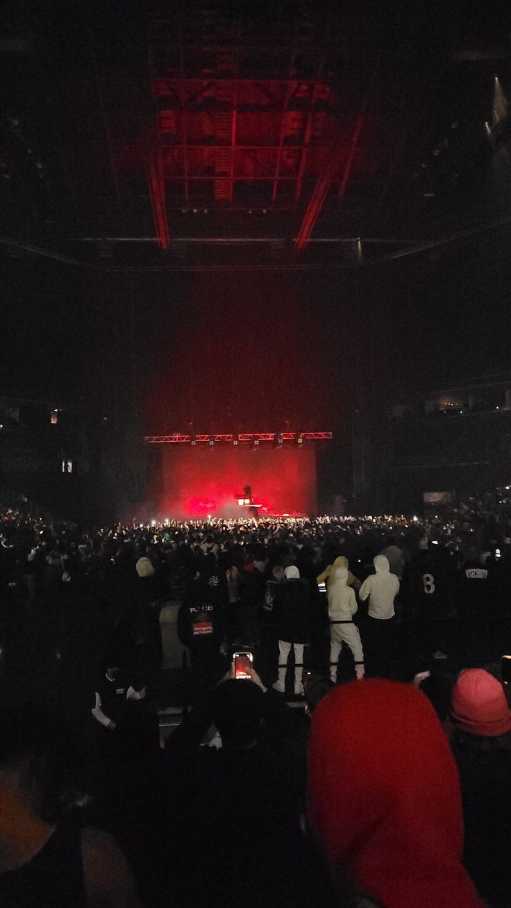 736x1307 playboi carti concert wallpaper