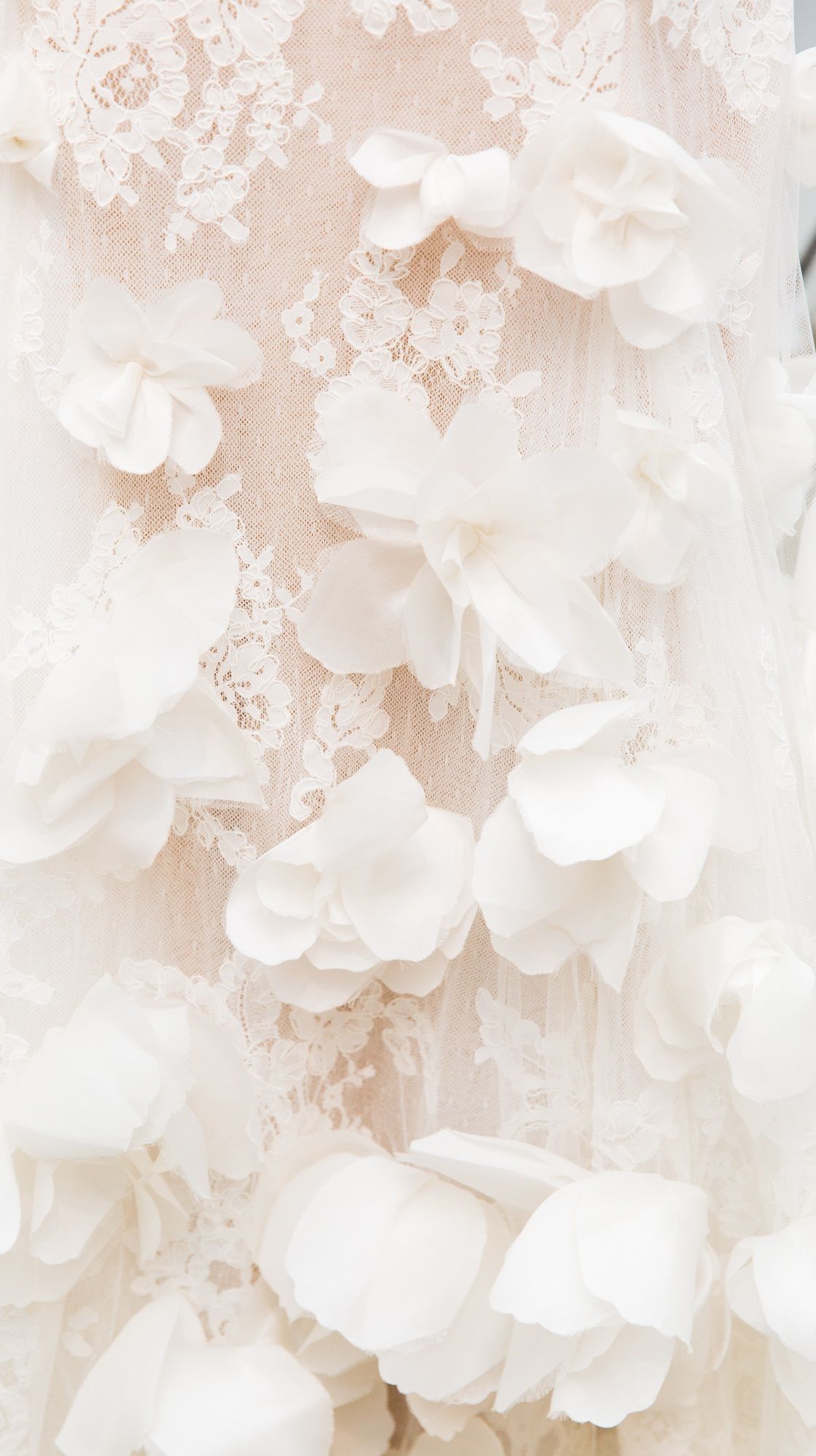 1120x1999 Wedding Aesthetic Wallpaper
