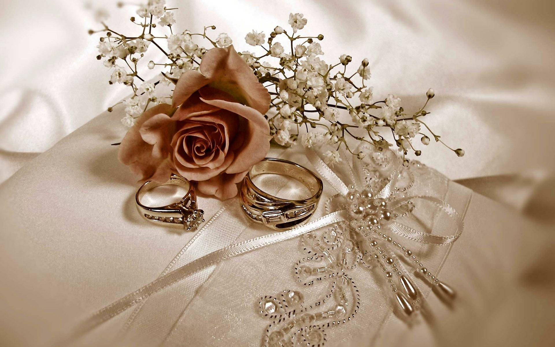 1920x1200 Download Wedding Rings And Flower Wallpaper