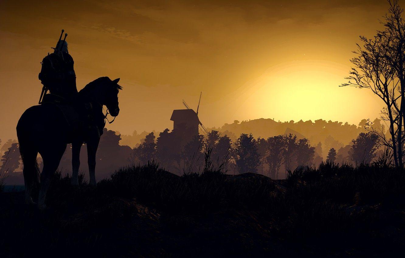 1332x850 Wallpaper the Witcher, The Witcher 3: Wild Hunt, roach, Geralt