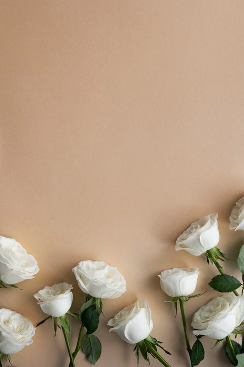 492x740 Background wedding aesthetic Image