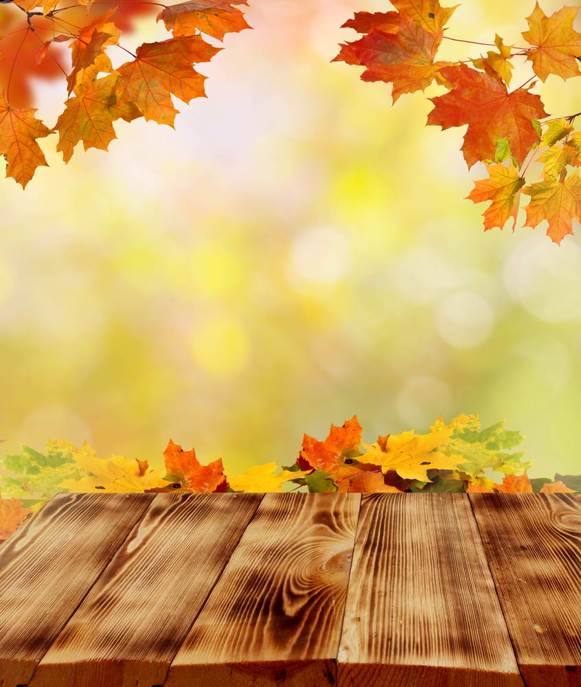 846x1000 Autumn Red Maple Leaves Wood Floor Photo Studio Muslin Backdrop, 3'W*5'H(1*1.5m)