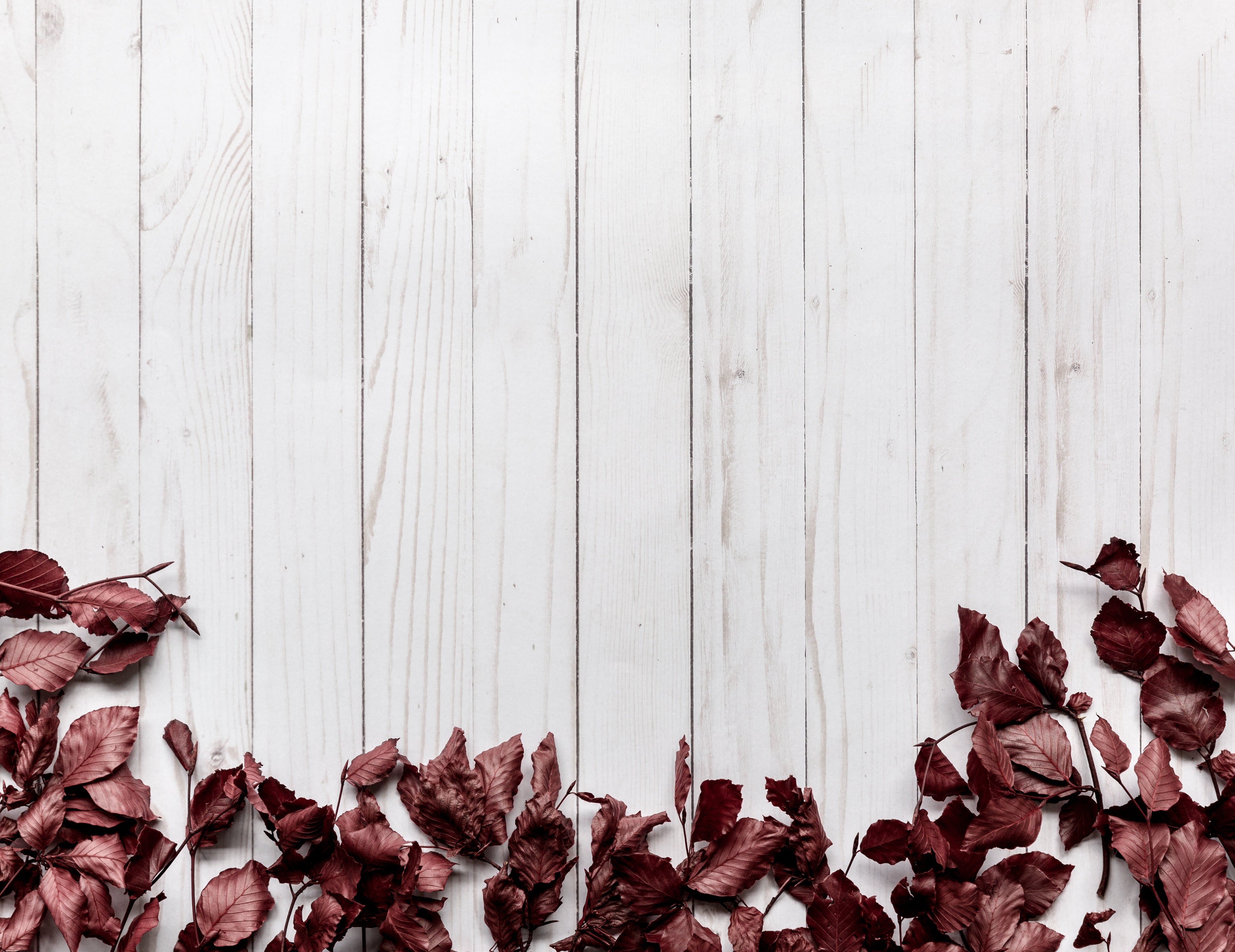 4816x3713 Browse Free HD Image of Dried Leaves Frame Bottom On Wood Background