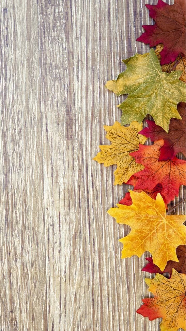 720x1280 Fall wallpaper. Fond d'écran téléphone, Fond d'écran rouge, Art végétal