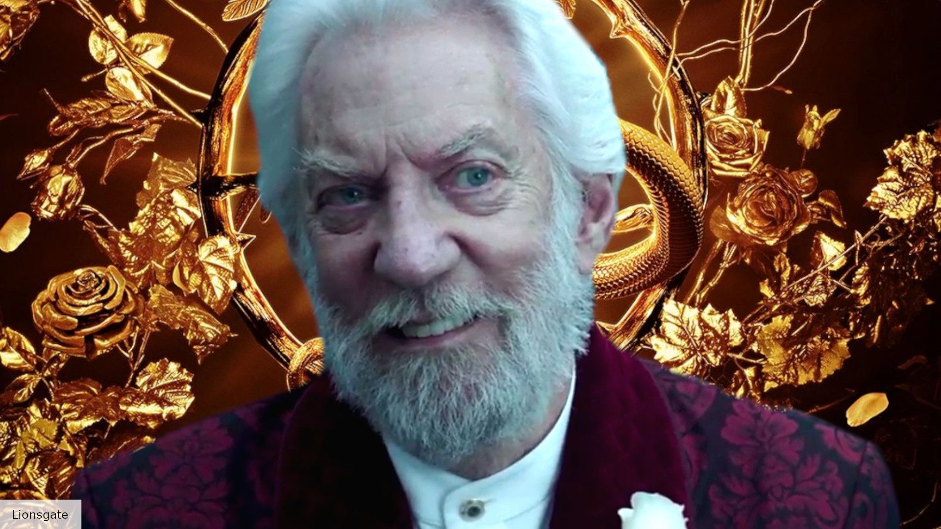 1920x1080 Donald Sutherland got his Hunger Games villain role in a unique way
