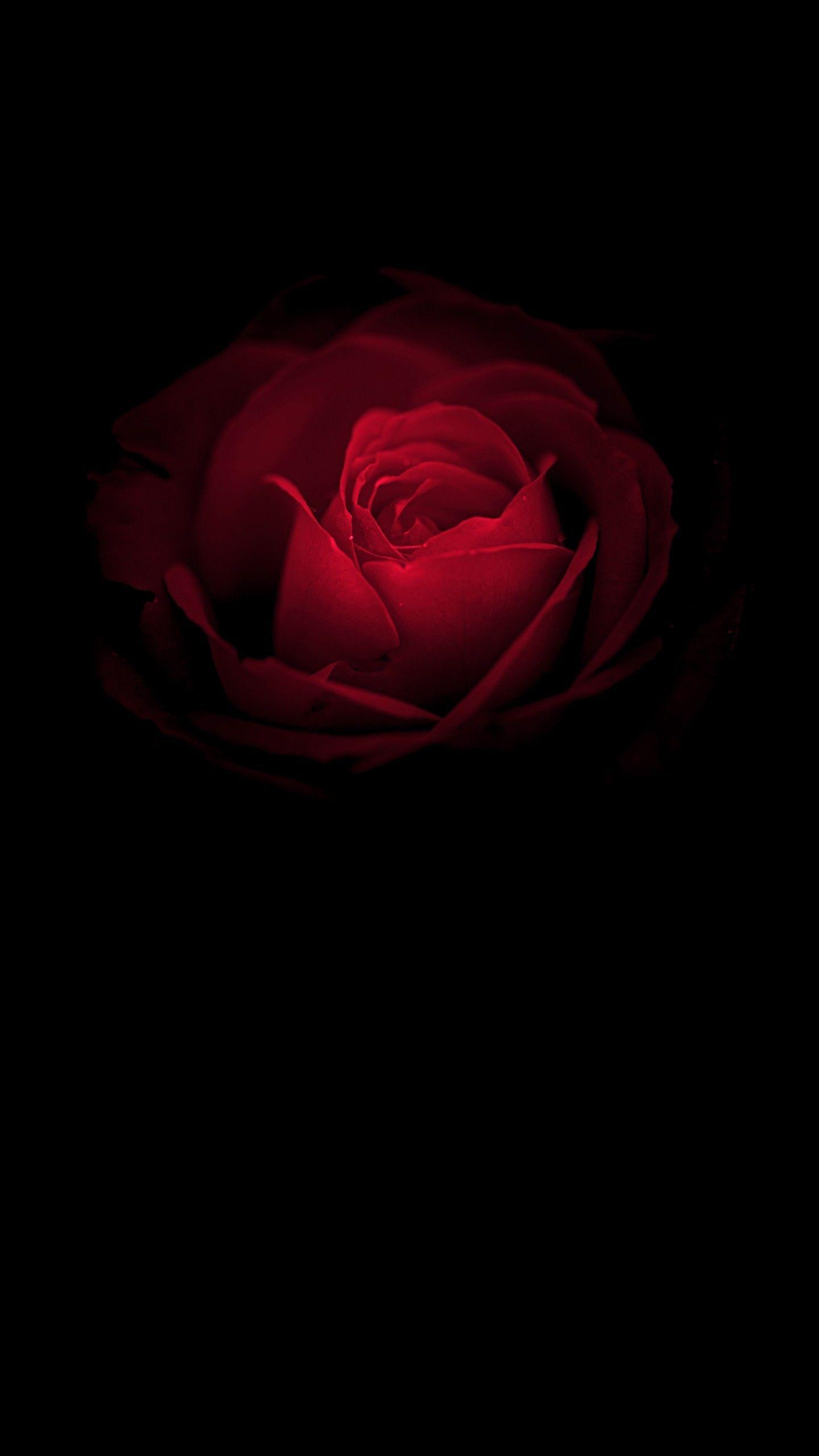 iPhone X Red Wallpapers Top Free iPhone X Red Backgrounds