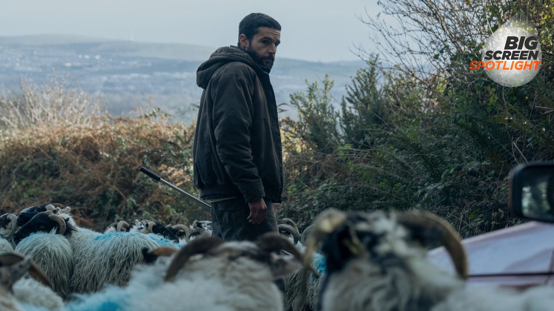 1920x1080 Poor Things' Christopher Abbott on his new thriller with Barry Keoghan that's like a mafia movie with sheep