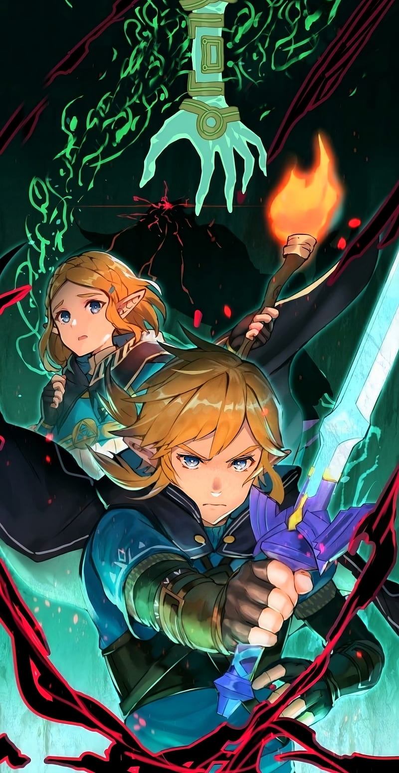 800x1550 The Legend of Zelda, game, link, HD phone wallpaper
