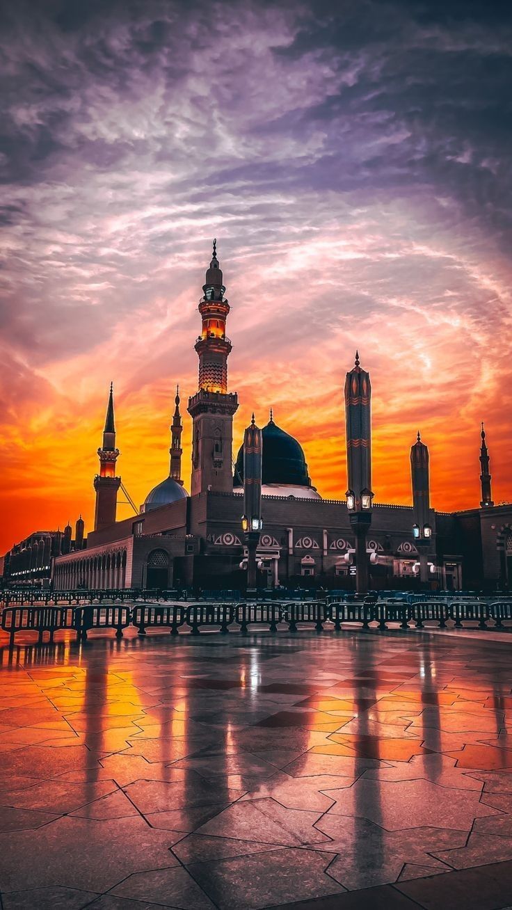 736x1308 Madina sharif HD wallpaper 4