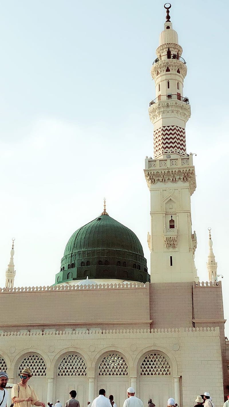 800x1423 Madina, madina sharif, muhammad saw, HD phone wallpaper